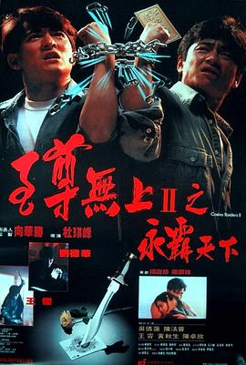 《善良岳母：我爱我的女婿》海报